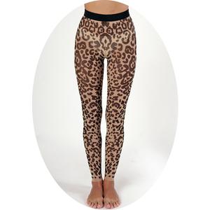 Buy leggings Leopard. Image.