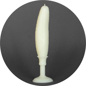 White Cucumber. Image. 2