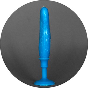 Blue Cucumber. Image. 3